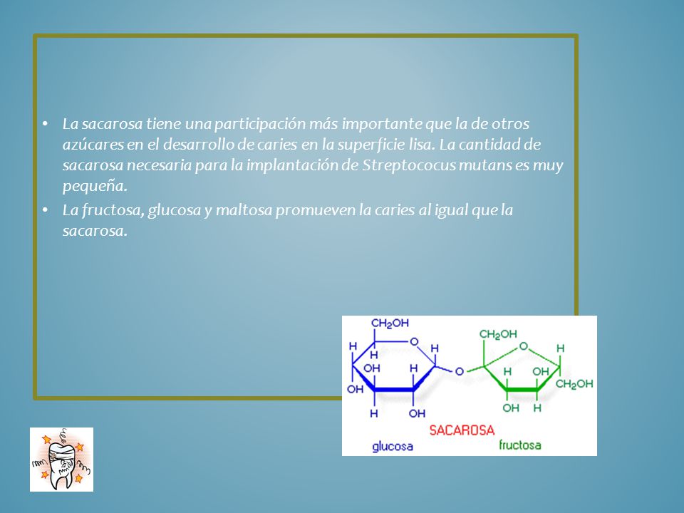 La sacarosa tiene una participación más importante que la de otros azúcares en el desarrollo de caries en la superficie lisa. La cantidad de sacarosa necesaria para la implantación de Streptococus mutans es muy pequeña.