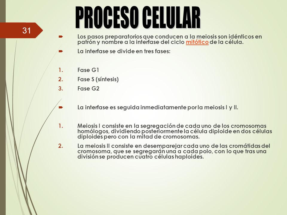 PROCESO CELULAR Los pasos preparatorios que conducen a la meiosis son idénticos en patrón y nombre a la interfase del ciclo mitótico de la célula.