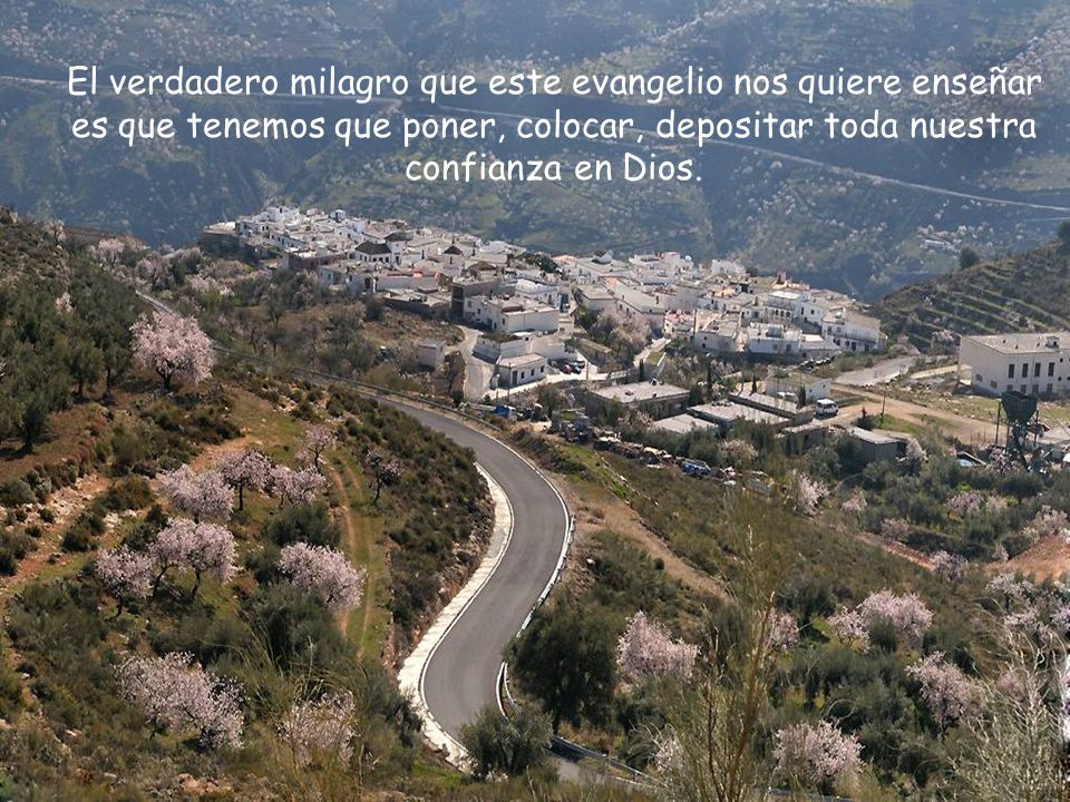 El verdadero milagro que este evangelio nos quiere enseñar es que tenemos que poner, colocar, depositar toda nuestra confianza en Dios.