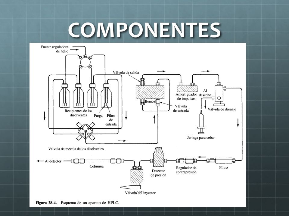 COMPONENTES
