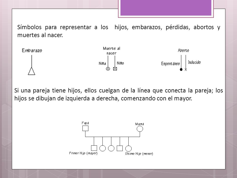 Símbolos para representar a los hijos, embarazos, pérdidas, abortos y muertes al nacer.