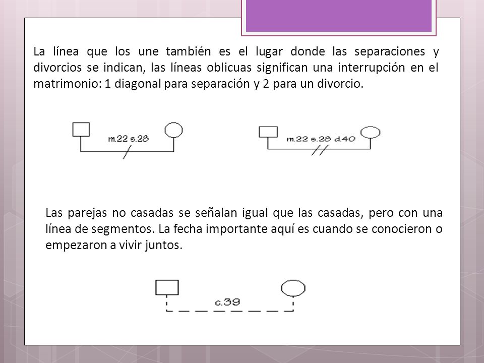 La línea que los une también es el lugar donde las separaciones y divorcios se indican, las líneas oblicuas significan una interrupción en el matrimonio: 1 diagonal para separación y 2 para un divorcio.
