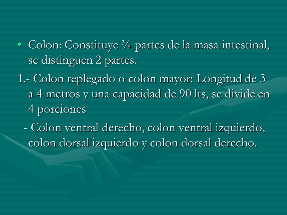 Colon: Constituye ¾ partes de la masa intestinal, se distinguen 2 partes.