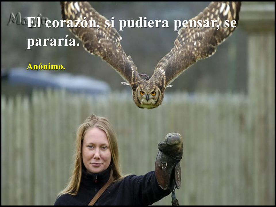 El corazón, si pudiera pensar, se pararía.