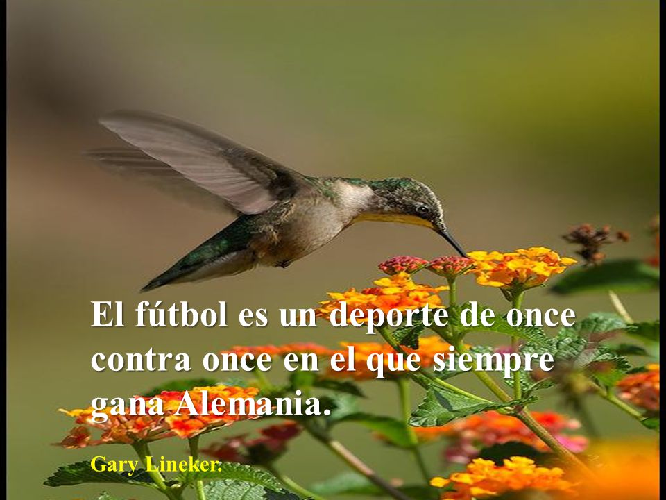 El fútbol es un deporte de once contra once en el que siempre gana Alemania.