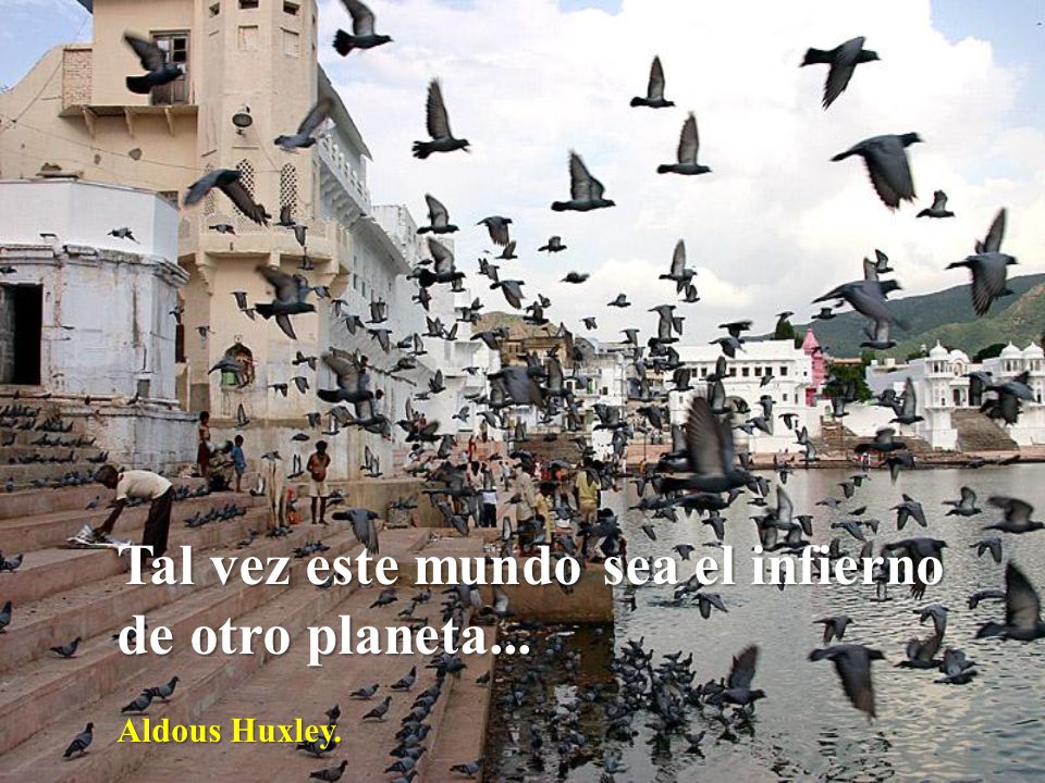 Tal vez este mundo sea el infierno de otro planeta...