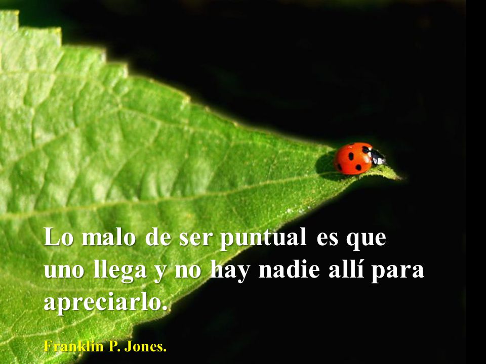 Lo malo de ser puntual es que uno llega y no hay nadie allí para apreciarlo.