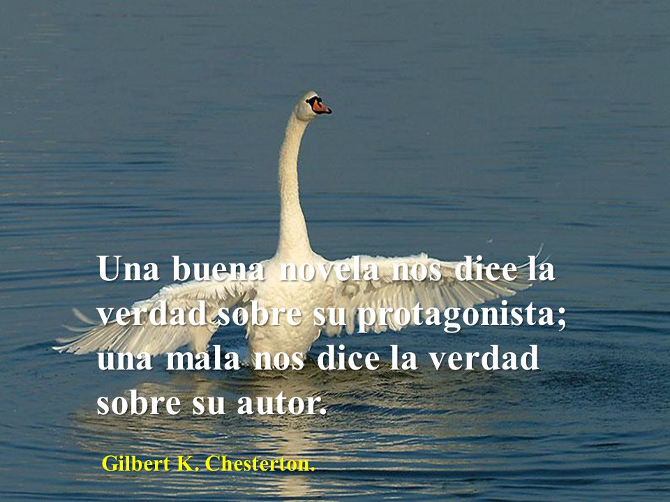 Una buena novela nos dice la verdad sobre su protagonista; una mala nos dice la verdad sobre su autor.