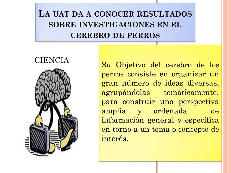 La uat da a conocer resultados sobre investigaciones en el cerebro de perros
