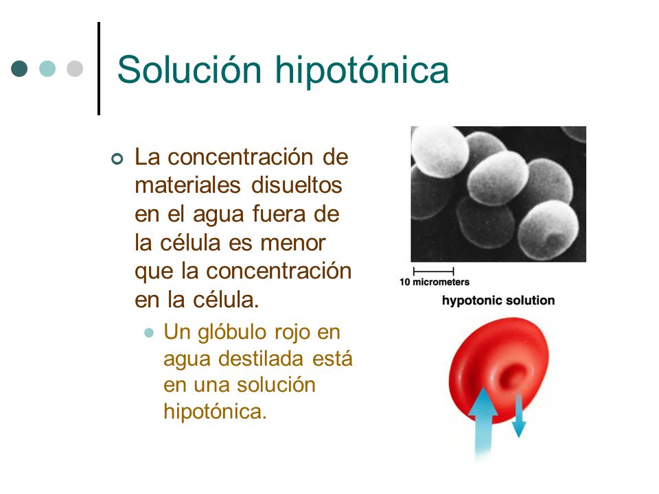 Solución hipotónica La concentración de materiales disueltos en el agua fuera de la célula es menor que la concentración en la célula.