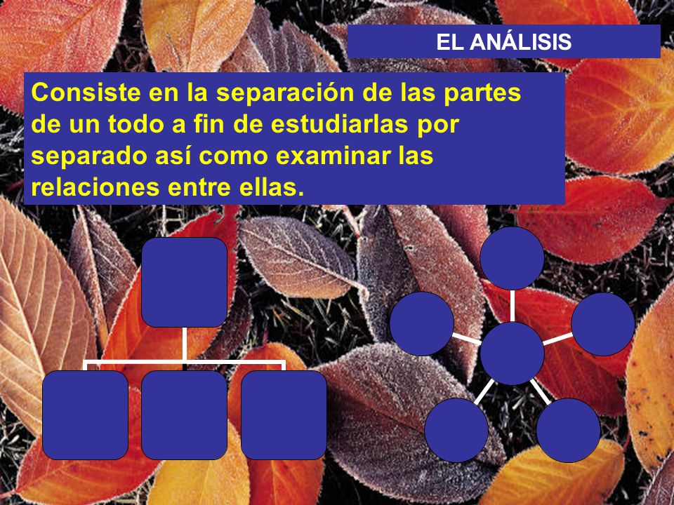 EL ANÁLISIS Consiste en la separación de las partes de un todo a fin de estudiarlas por separado así como examinar las relaciones entre ellas.