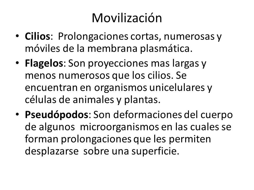Movilización Cilios: Prolongaciones cortas, numerosas y móviles de la membrana plasmática.