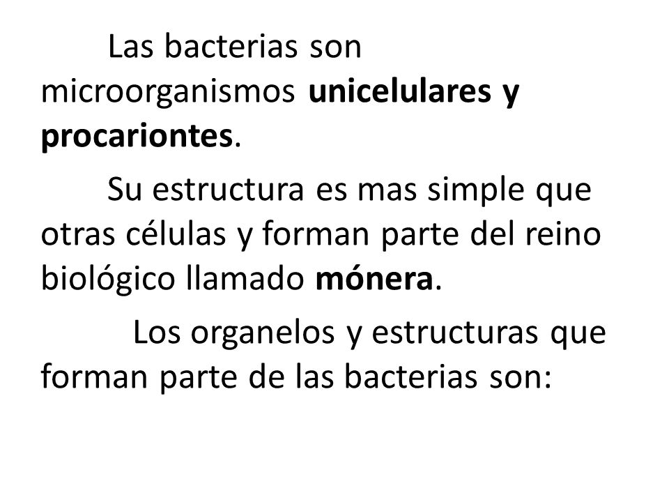 Los organelos y estructuras que forman parte de las bacterias son: