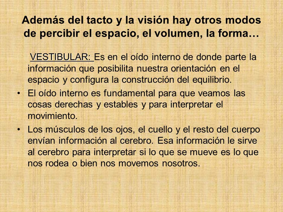 Además del tacto y la visión hay otros modos de percibir el espacio, el volumen, la forma…