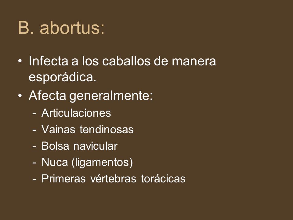 B. abortus: Infecta a los caballos de manera esporádica.