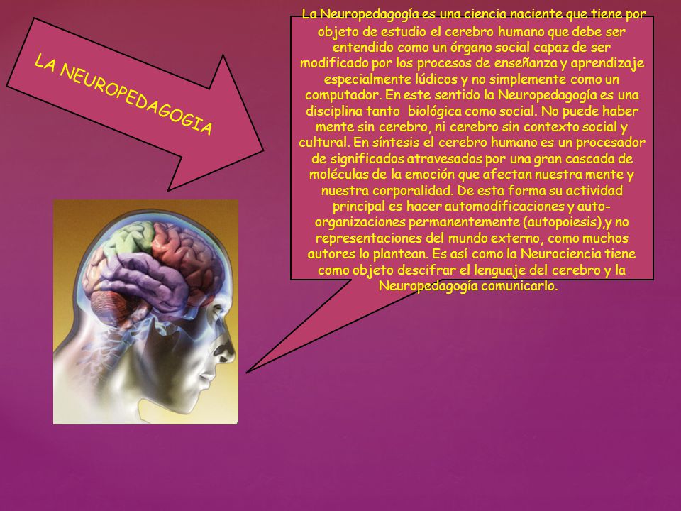 La Neuropedagogía es una ciencia naciente que tiene por objeto de estudio el cerebro humano que debe ser entendido como un órgano social capaz de ser modificado por los procesos de enseñanza y aprendizaje especialmente lúdicos y no simplemente como un computador. En este sentido la Neuropedagogía es una disciplina tanto biológica como social. No puede haber mente sin cerebro, ni cerebro sin contexto social y cultural. En síntesis el cerebro humano es un procesador de significados atravesados por una gran cascada de moléculas de la emoción que afectan nuestra mente y nuestra corporalidad. De esta forma su actividad principal es hacer automodificaciones y auto-organizaciones permanentemente (autopoiesis),y no representaciones del mundo externo, como muchos autores lo plantean. Es así como la Neurociencia tiene como objeto descifrar el lenguaje del cerebro y la Neuropedagogía comunicarlo.