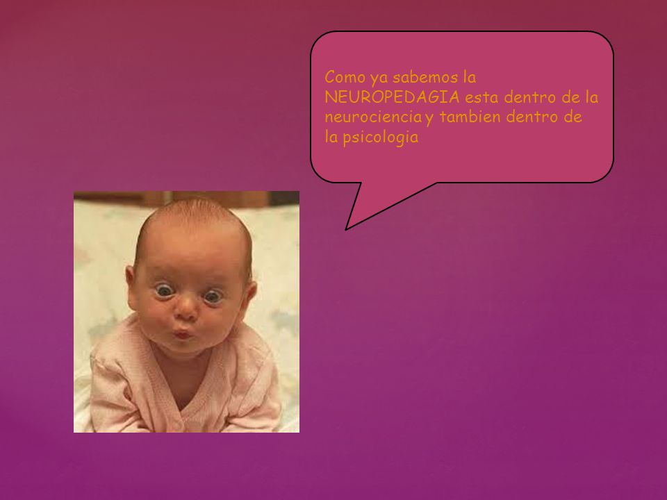 Como ya sabemos la NEUROPEDAGIA esta dentro de la neurociencia y tambien dentro de la psicologia