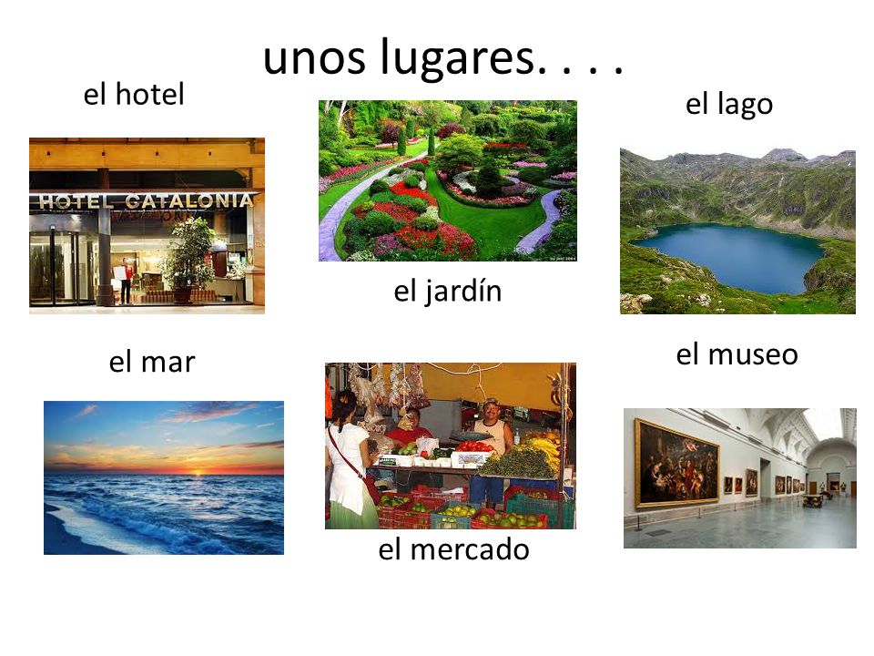 unos lugares el hotel el lago el jardín el museo el mar