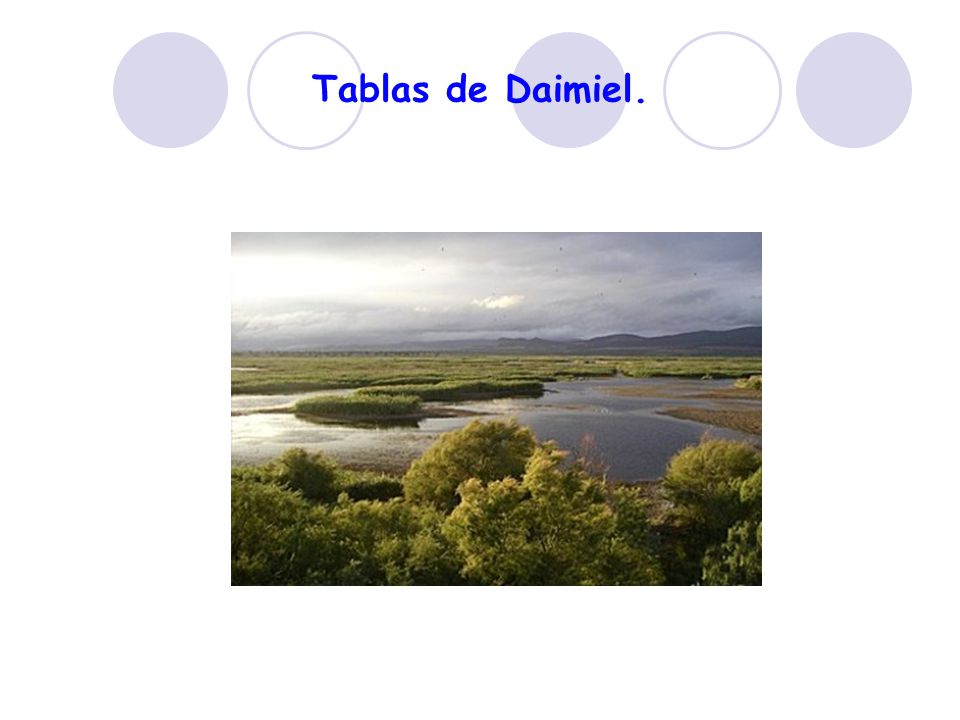 Tablas de Daimiel.
