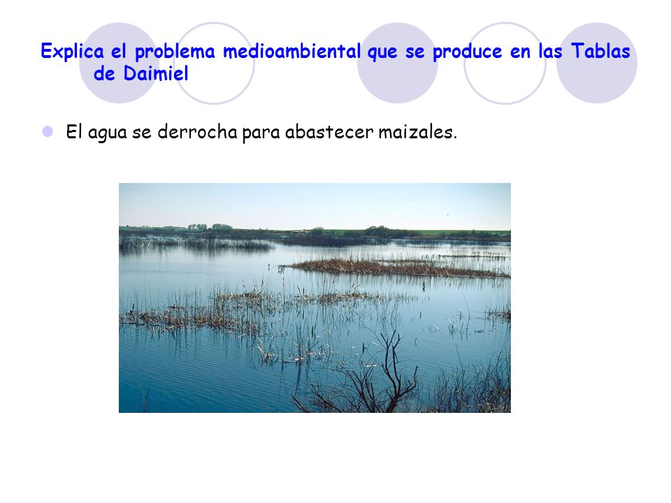 Explica el problema medioambiental que se produce en las Tablas de Daimiel