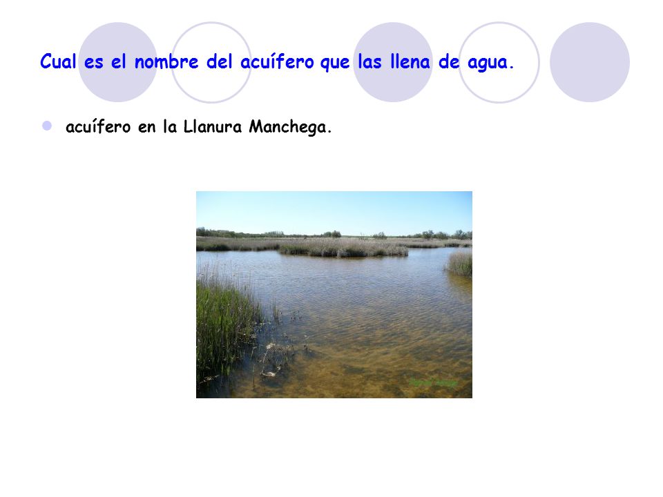 Cual es el nombre del acuífero que las llena de agua.