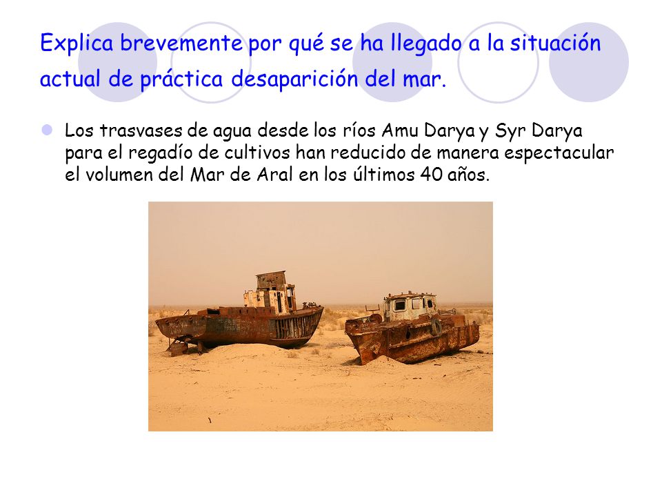 Explica brevemente por qué se ha llegado a la situación actual de práctica desaparición del mar.