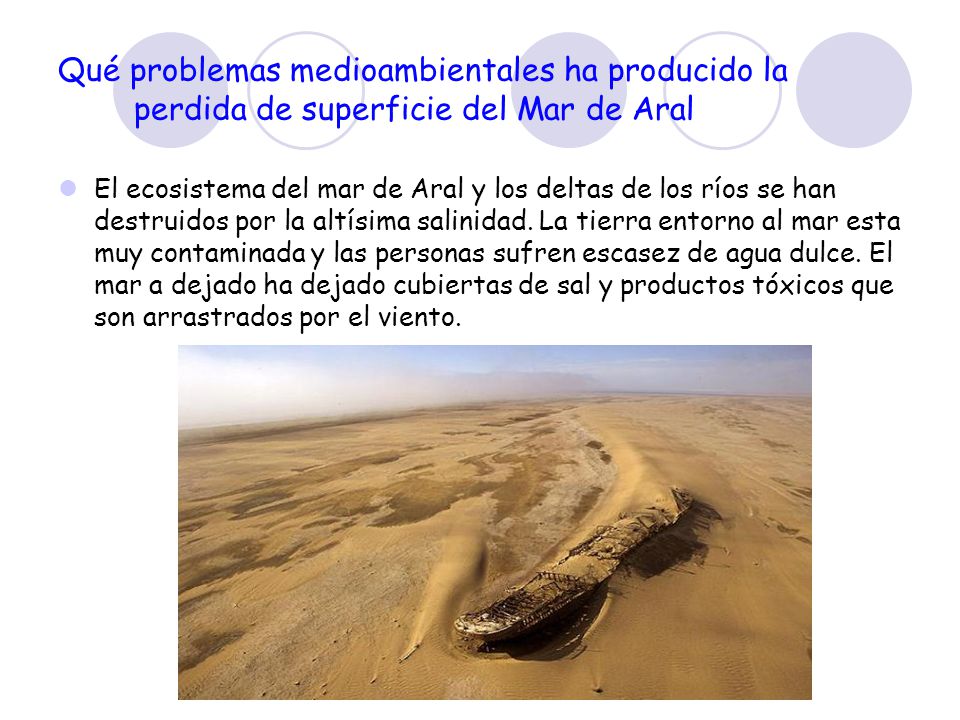 Qué problemas medioambientales ha producido la perdida de superficie del Mar de Aral