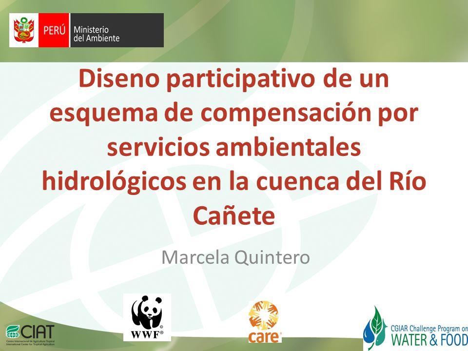 Diseno participativo de un esquema de compensación por servicios ambientales hidrológicos en la cuenca del Río Cañete