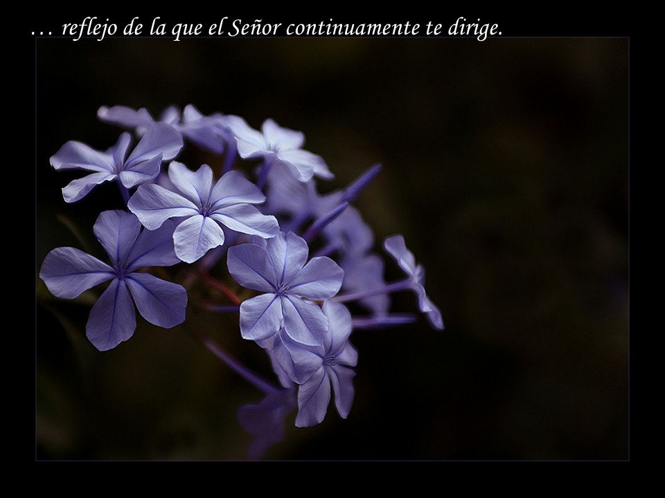 … reflejo de la que el Señor continuamente te dirige.