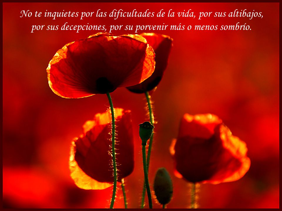 No te inquietes por las dificultades de la vida, por sus altibajos,