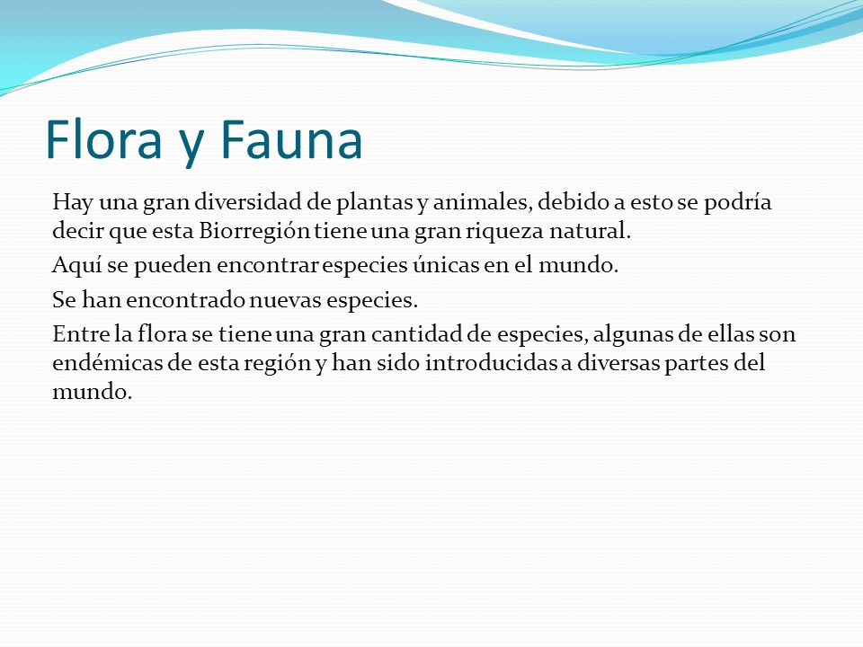 Flora y Fauna Hay una gran diversidad de plantas y animales, debido a esto se podría decir que esta Biorregión tiene una gran riqueza natural.