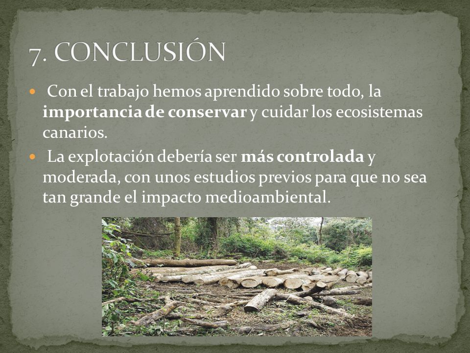 7. CONCLUSIÓN Con el trabajo hemos aprendido sobre todo, la importancia de conservar y cuidar los ecosistemas canarios.