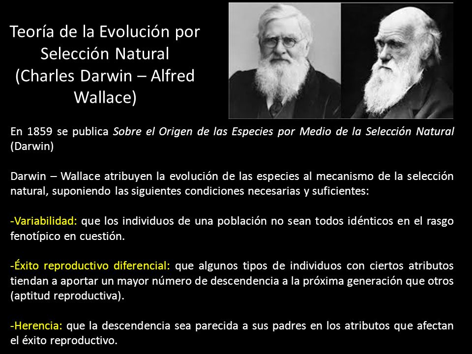 Teoría de la Evolución por Selección Natural (Charles Darwin – Alfred Wallace)