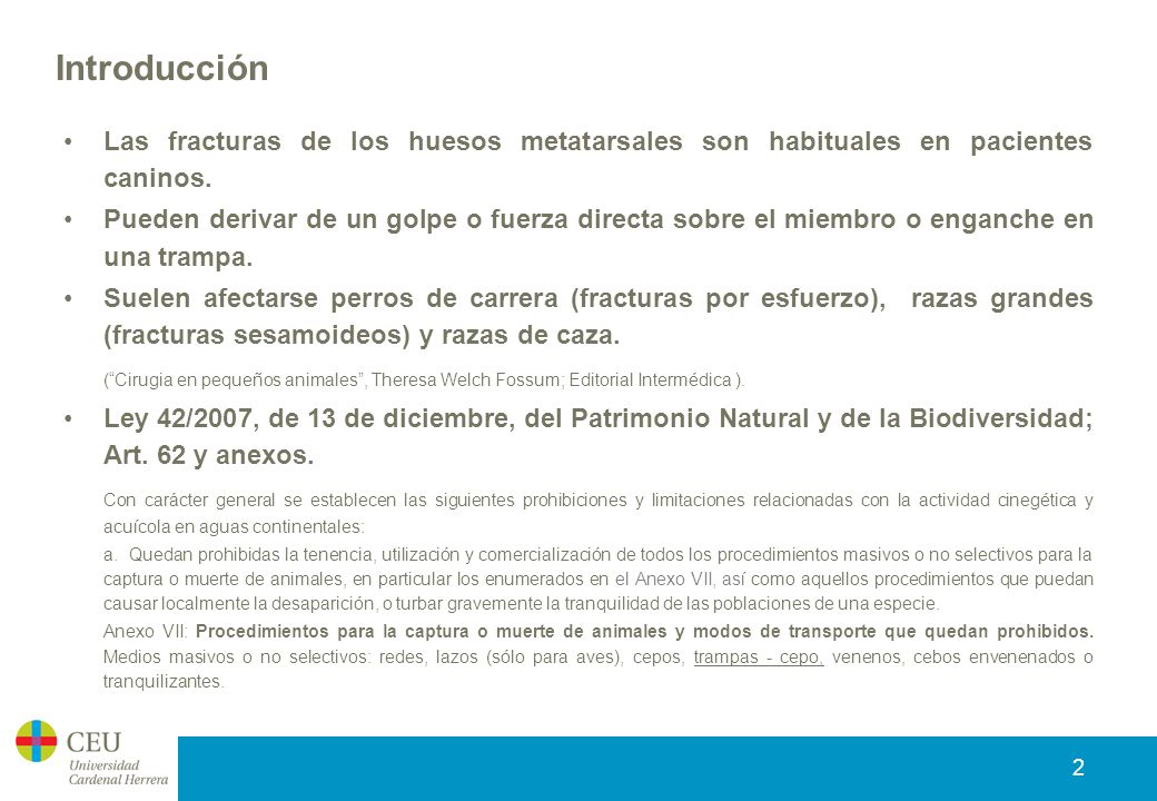 Introducción Las fracturas de los huesos metatarsales son habituales en pacientes caninos.