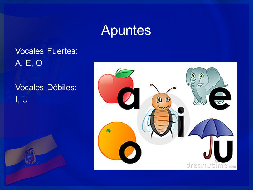 Apuntes Vocales Fuertes: A, E, O Vocales Débiles: I, U