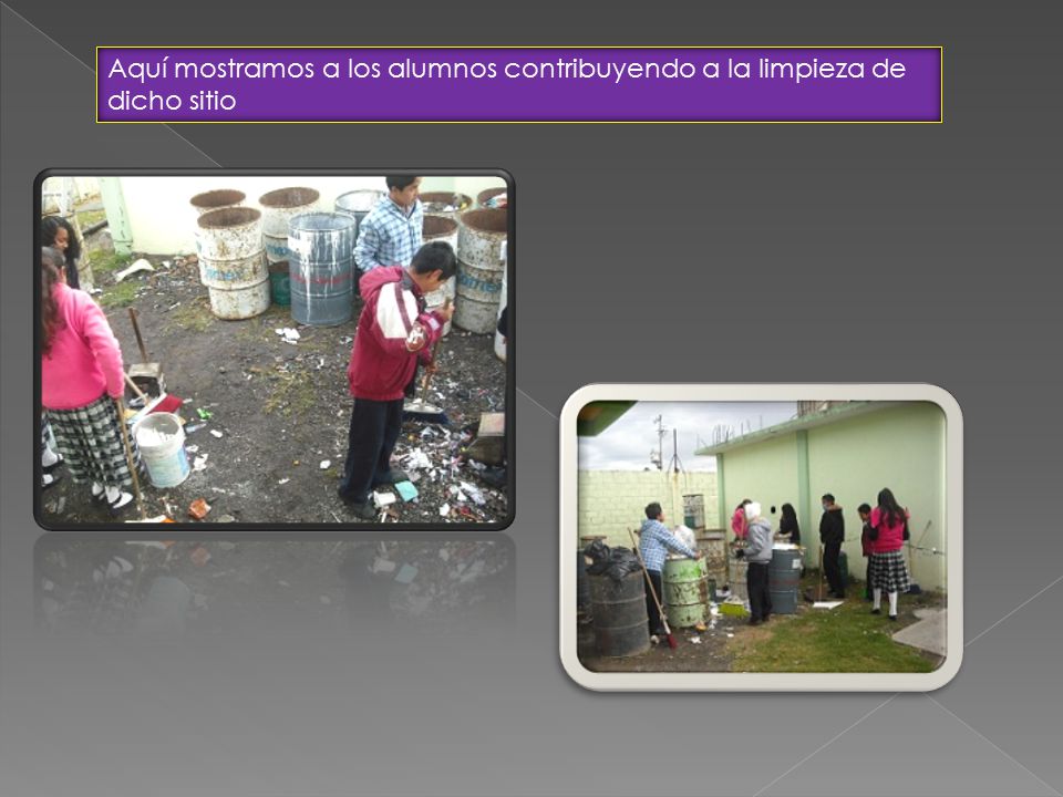 Aquí mostramos a los alumnos contribuyendo a la limpieza de dicho sitio