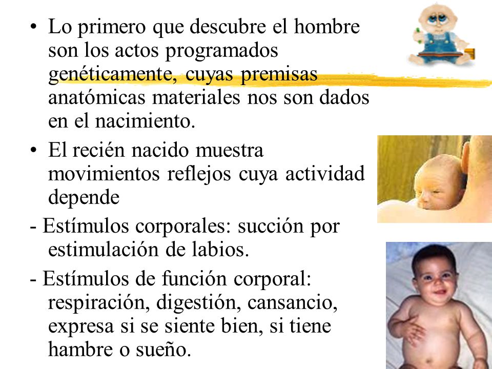 Lo primero que descubre el hombre son los actos programados genéticamente, cuyas premisas anatómicas materiales nos son dados en el nacimiento.