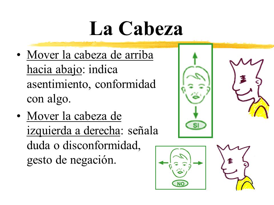 La Cabeza Mover la cabeza de arriba hacia abajo: indica asentimiento, conformidad con algo.
