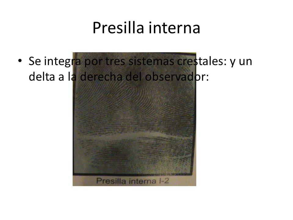 Presilla interna Se integra por tres sistemas crestales: y un delta a la derecha del observador: