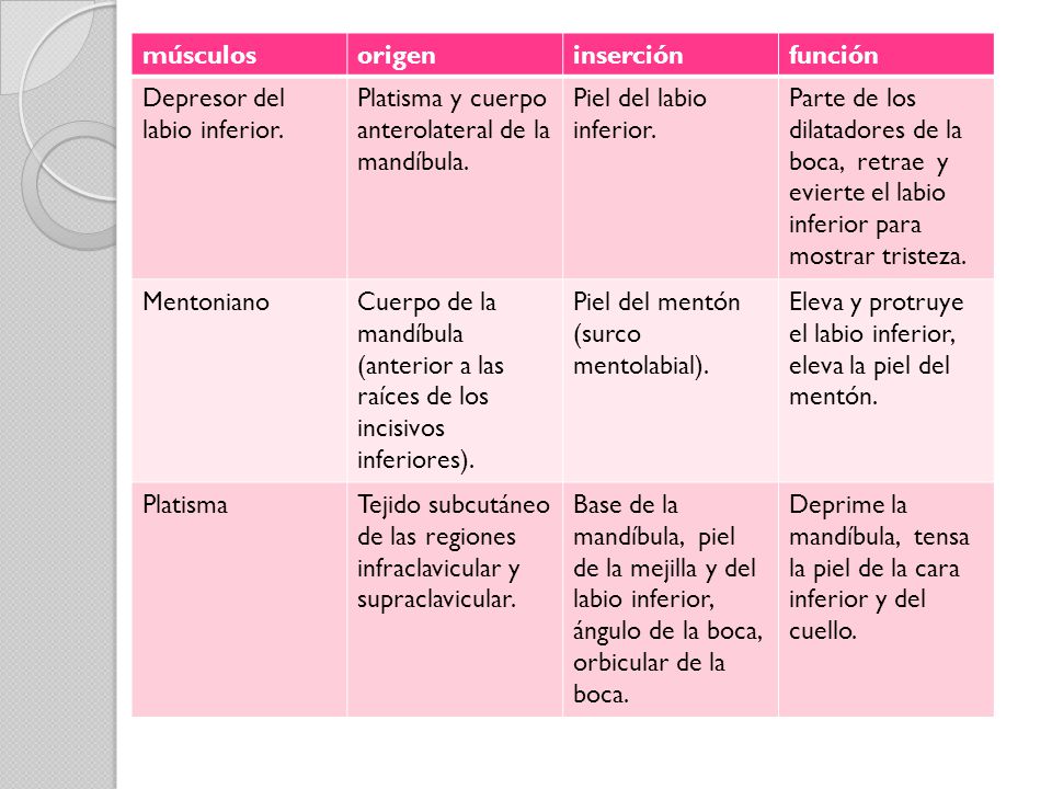 músculos origen. inserción. función. Depresor del labio inferior. Platisma y cuerpo anterolateral de la mandíbula.