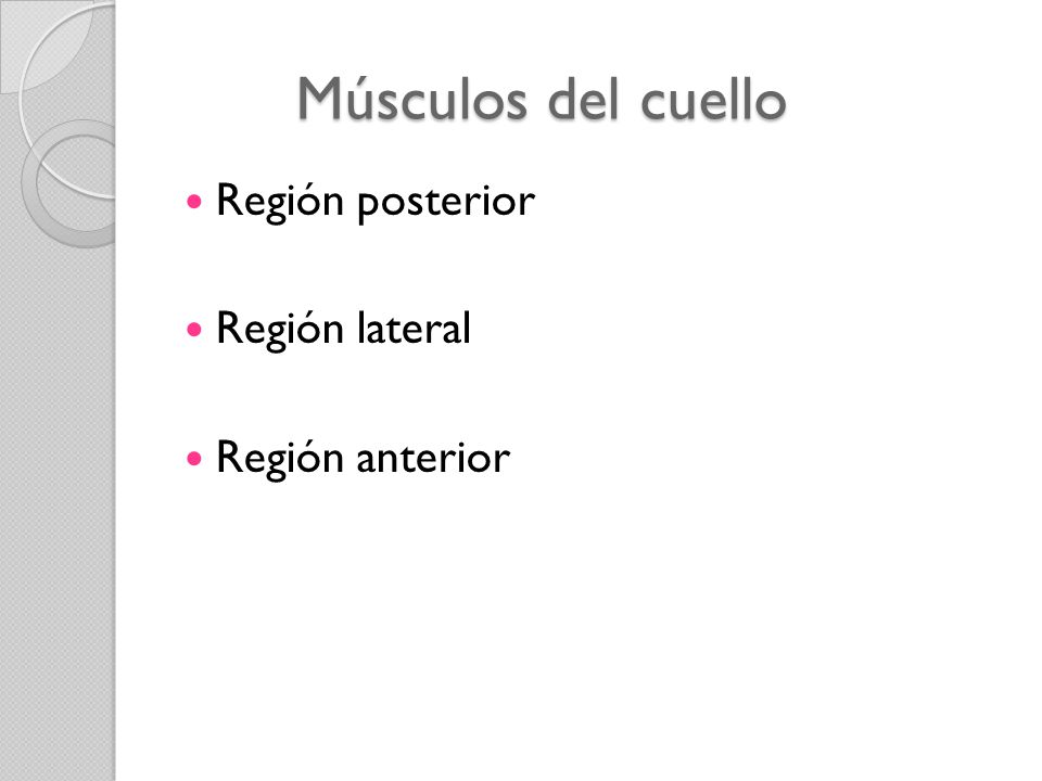 Músculos del cuello Región posterior Región lateral Región anterior