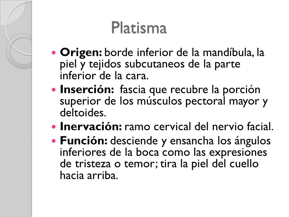 Platisma Origen: borde inferior de la mandíbula, la piel y tejidos subcutaneos de la parte inferior de la cara.