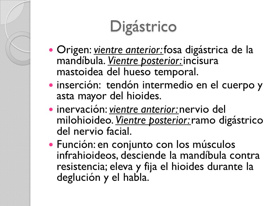 Digástrico Origen: vientre anterior: fosa digástrica de la mandíbula. Vientre posterior: incisura mastoidea del hueso temporal.
