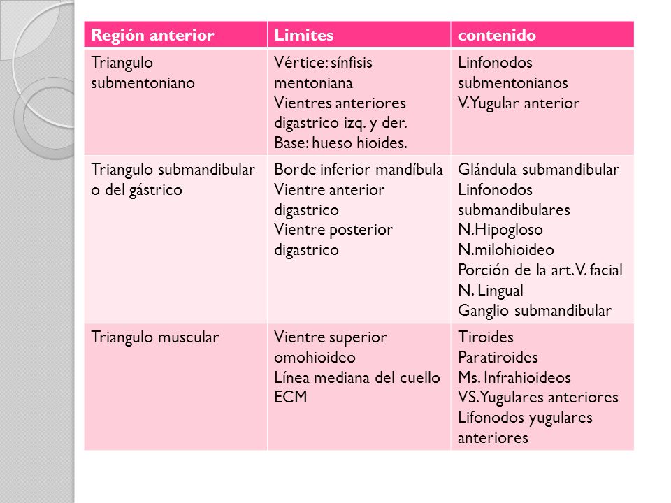 Región anterior Limites. contenido. Triangulo submentoniano. Vértice: sínfisis mentoniana. Vientres anteriores digastrico izq. y der.