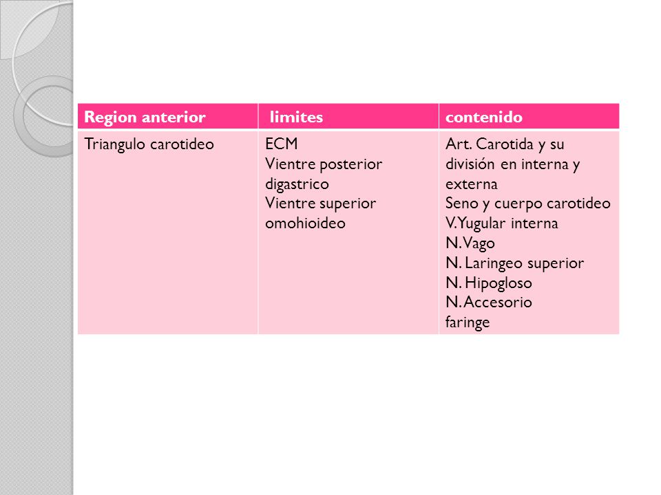 Region anterior limites. contenido. Triangulo carotideo. ECM. Vientre posterior digastrico. Vientre superior omohioideo.