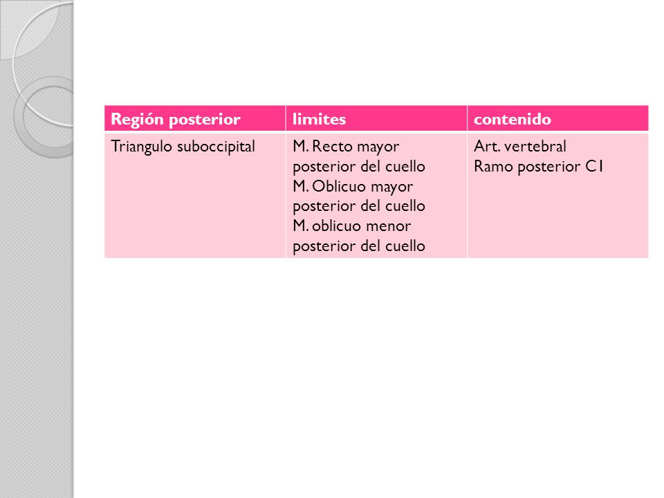 Región posterior limites. contenido. Triangulo suboccipital. M. Recto mayor posterior del cuello.
