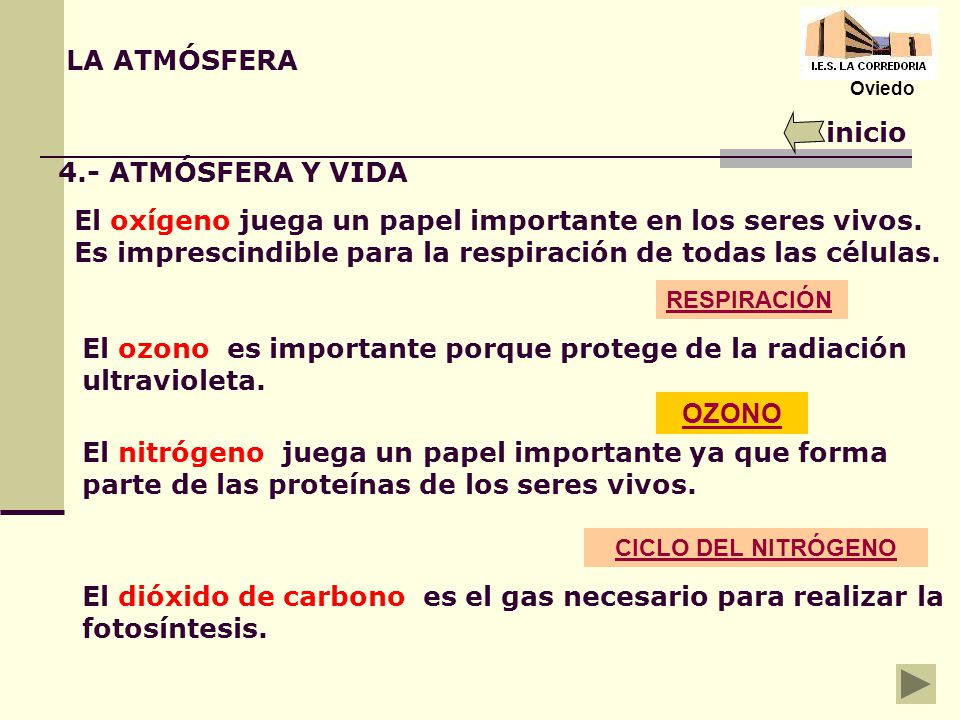 El ozono es importante porque protege de la radiación ultravioleta.