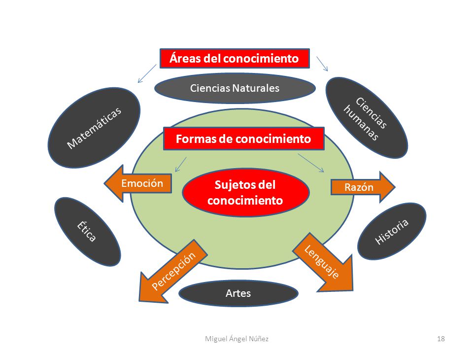 Áreas del conocimiento Formas de conocimiento Sujetos del conocimiento