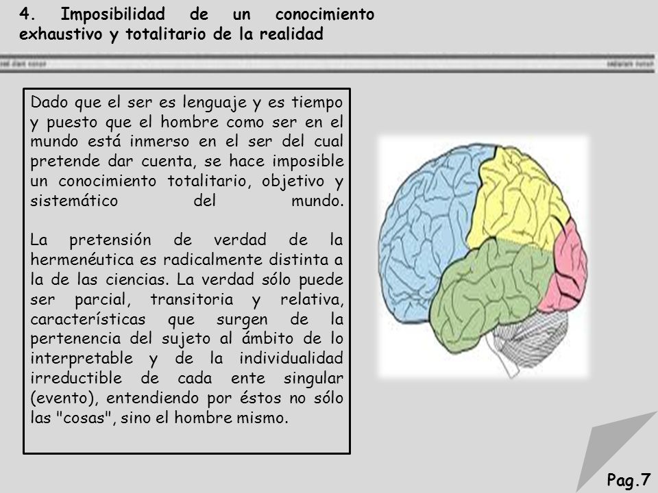 4. Imposibilidad de un conocimiento exhaustivo y totalitario de la realidad