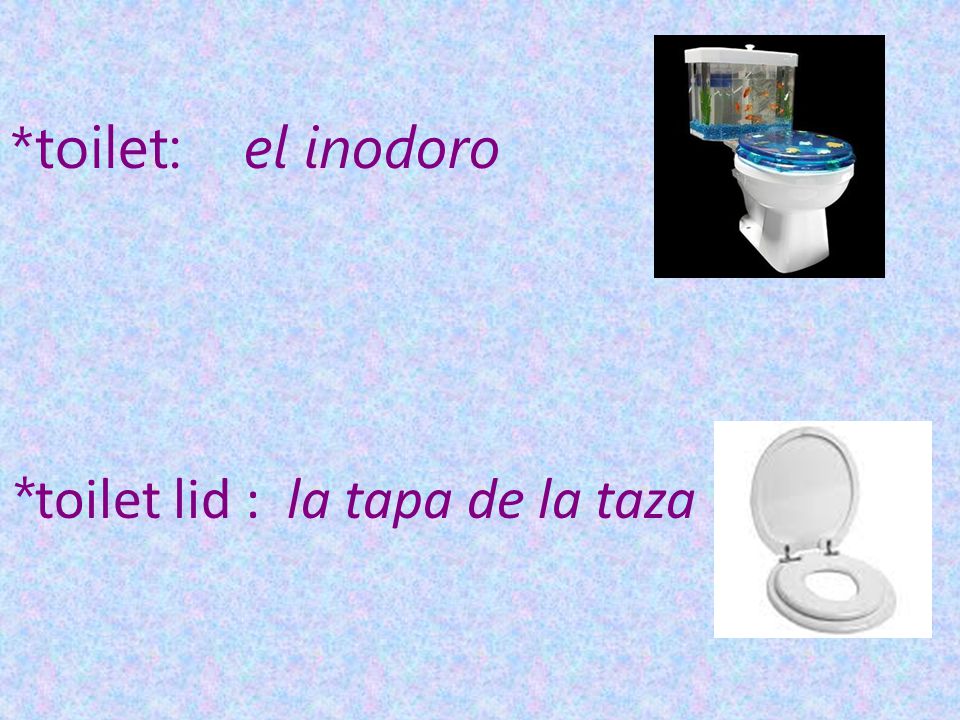 *toilet: el inodoro *toilet lid : la tapa de la taza